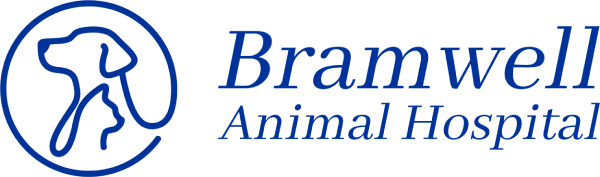 Bramwell Animal Hospital